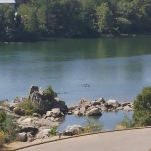 Meet your Posher, Arthur